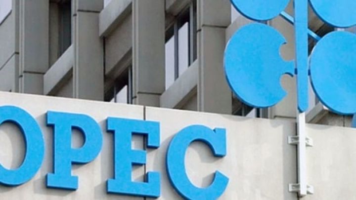 OPEC-in neft hasilatı martda azalıb