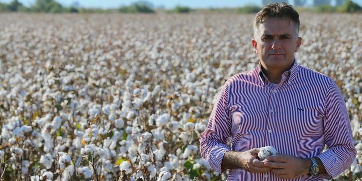 Türkiyə 1 milyon ton pambıq istehsal edəcəyini gözləyir