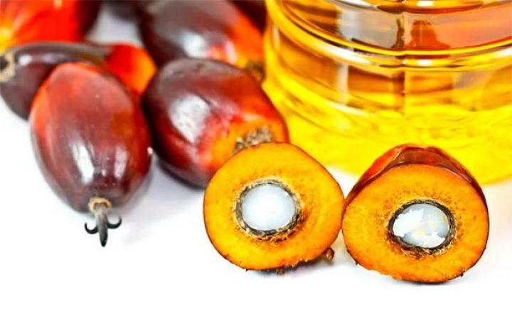 Palma yağı kəskin bahalaşıb