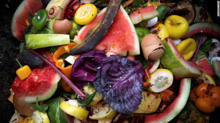 Hər il 2,5 milyard ton ərzaq “zibil” kimi atılır