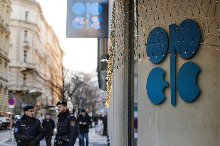 Azərbaycanın Energetika nazirinin OPEC-in Baş katibi ilə telefon danışığı olub