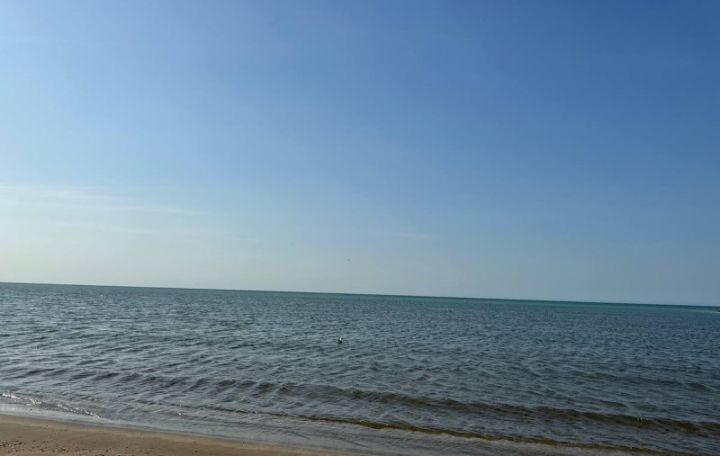 Sabahın hava proqnozu açıqlandı