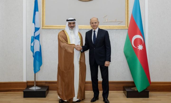 Energetika Nazirliyində OPEC-in baş katibi ilə görüş olub