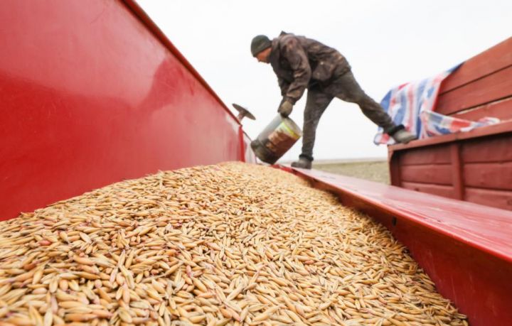 Türkiyə: "Taxıl müqaviləsinin uzadılması şansları var"