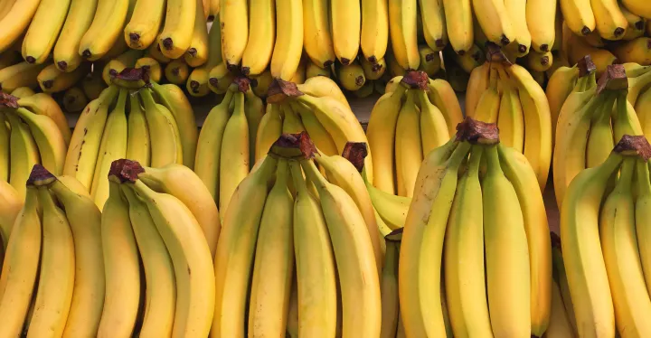 Azərbaycan şirkəti ilk dəfə banan yetişdirir