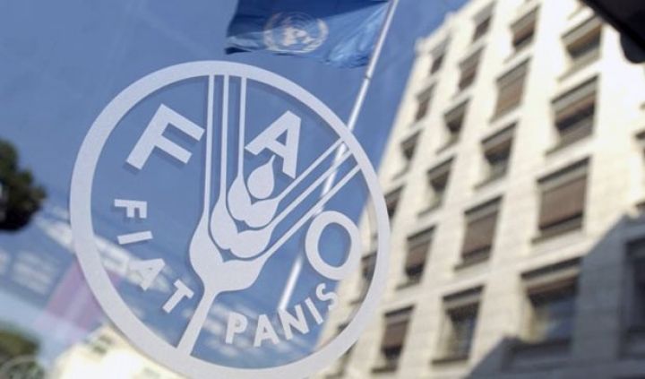 Qlobal ərzaq qiymətləri yüksəlib - SÜD MƏHSULLARI KƏSKİN BAHALAŞIB