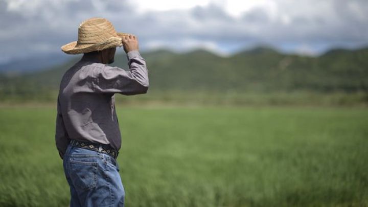 Qlobal ərzaq qiymətləri 10 aydır fasiləsiz yüksəlir