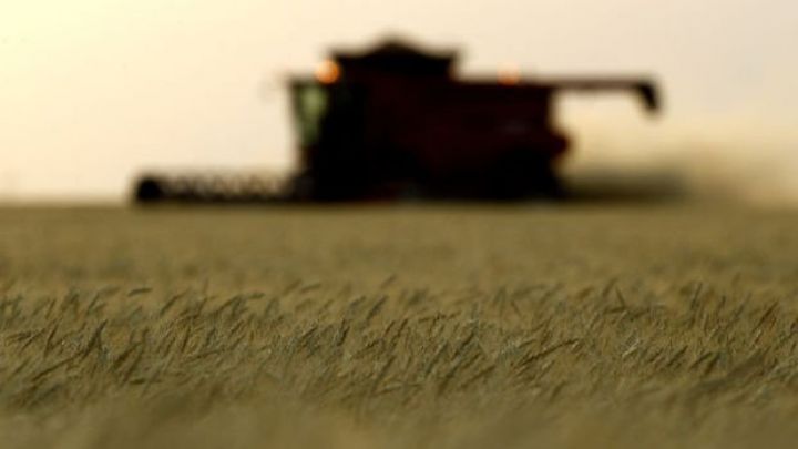 Ərzaq qiymətlərini yüksəldən 4 faktor