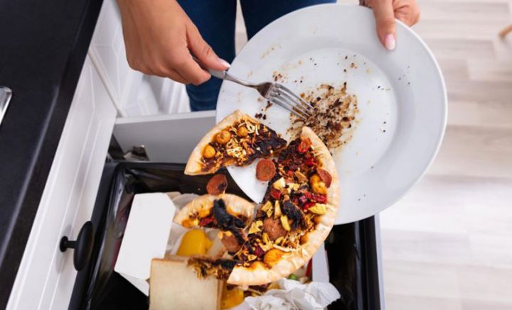 Dünyada hər il bir milyard ton qida atılır