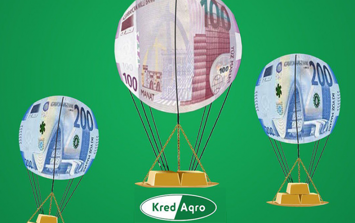 “Kred Aqro”da zərər artıb