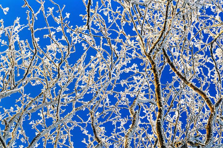 Dekabrın 23-də gözlənilən hava şəraiti