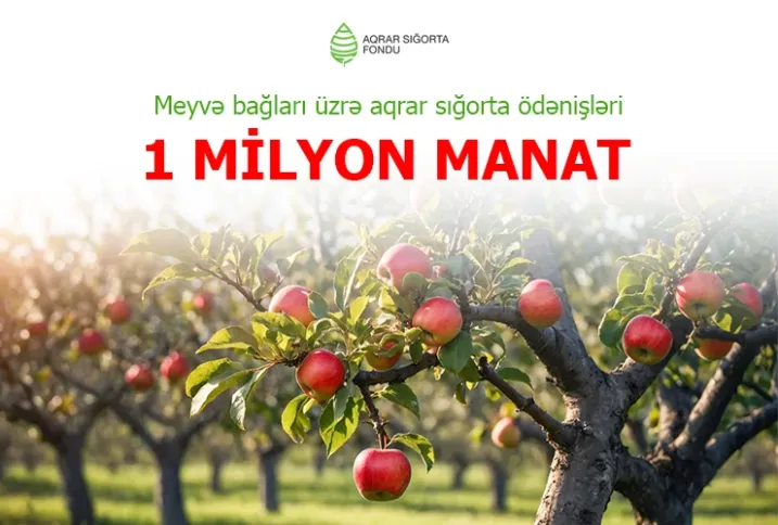 Meyvə bağları üzrə aqrar sığorta ödənişləri 1 milyon manata çatıb